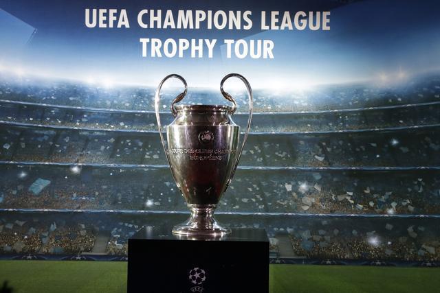 10吨植物油精炼设备